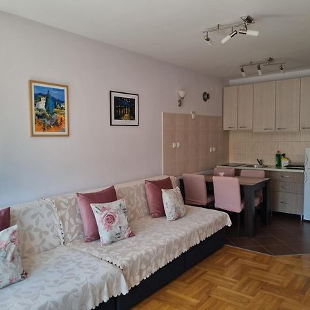 Studio Apartman Zvezdana Noc Vrnjačka Banja Екстериор снимка