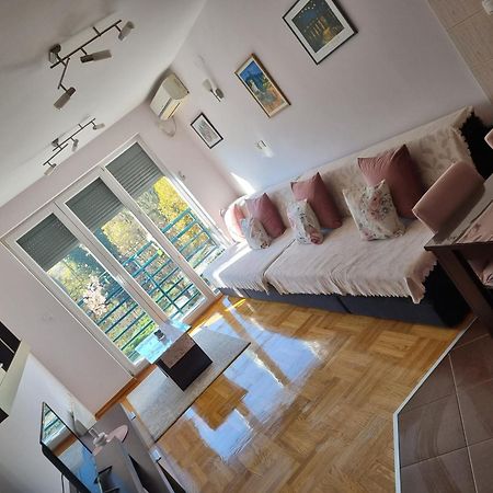 Studio Apartman Zvezdana Noc Vrnjačka Banja Екстериор снимка